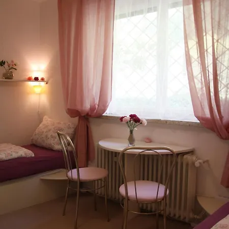 Gemuetliche Mit Rheinblick アパート